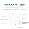 Round Lab Pine Pad - Korean Skincare