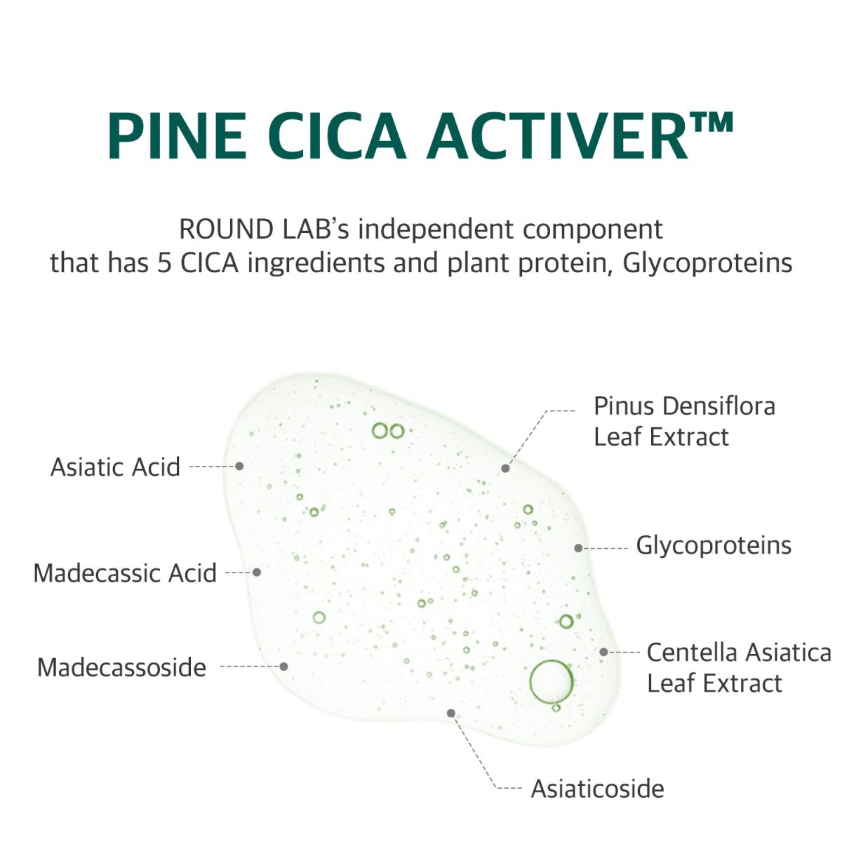 Pine Pad
