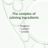 Round Lab Mugwort Cleanser - Korean Skincare