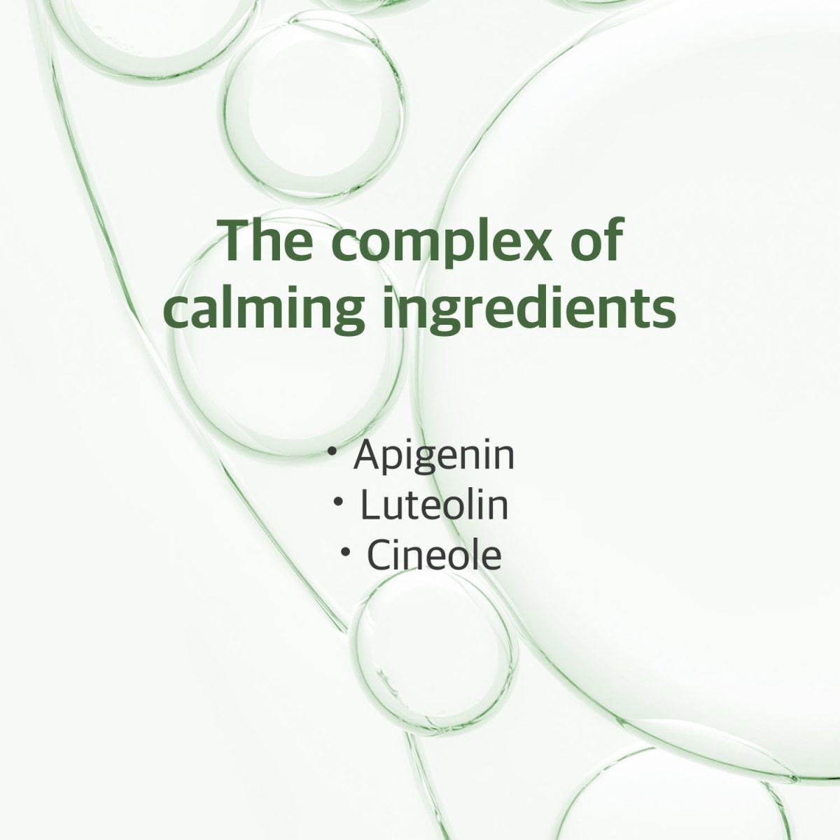 Mugwort Cleanser