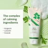 Round Lab Mugwort Cleanser - Korean Skincare