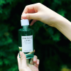 SKIN1004 Tea-Trica Ampoule - Korean Skincare