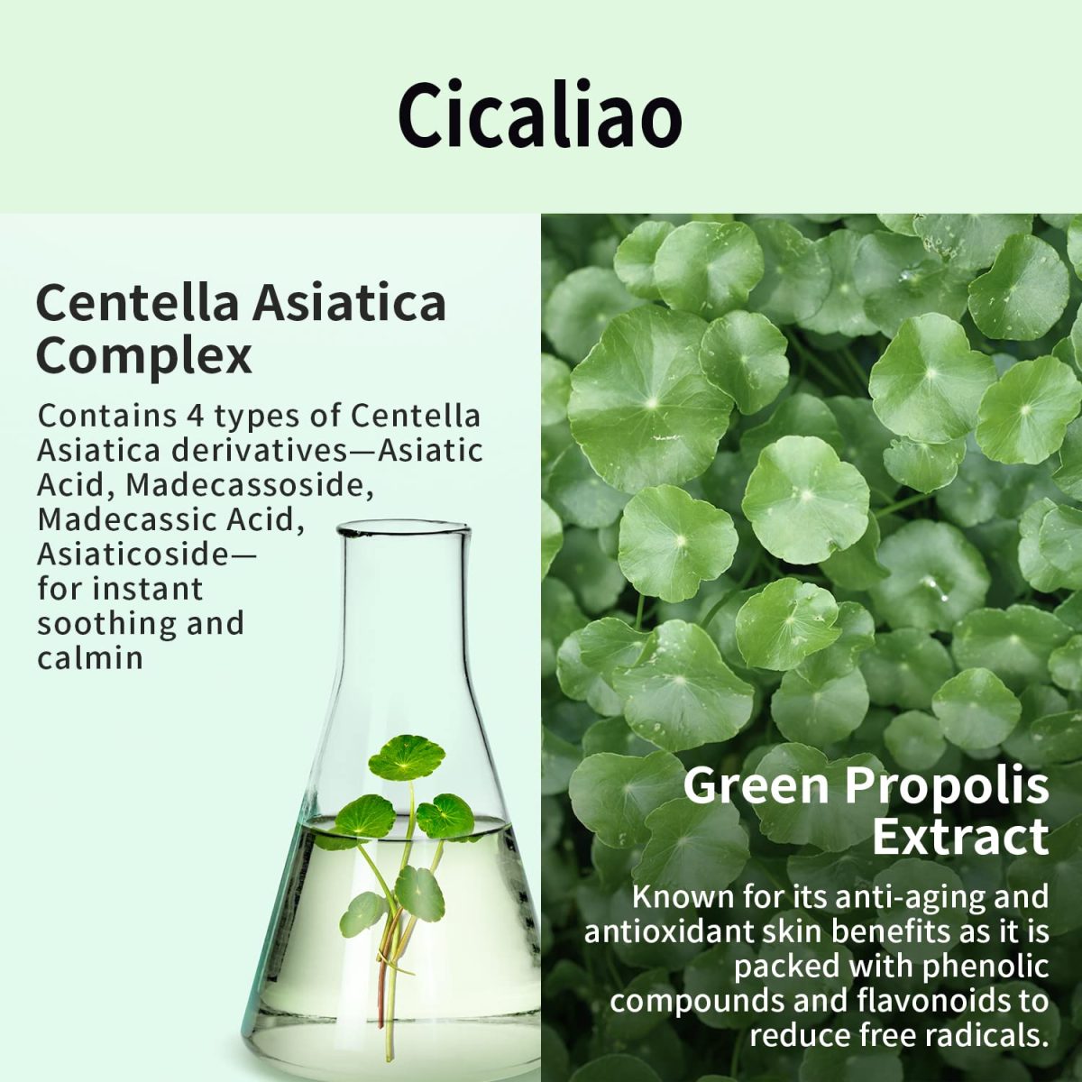 Hyaluronic Capsule Mask