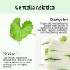 VT Cosmetics Cica No-Sebum Powder - Korean Skincare
