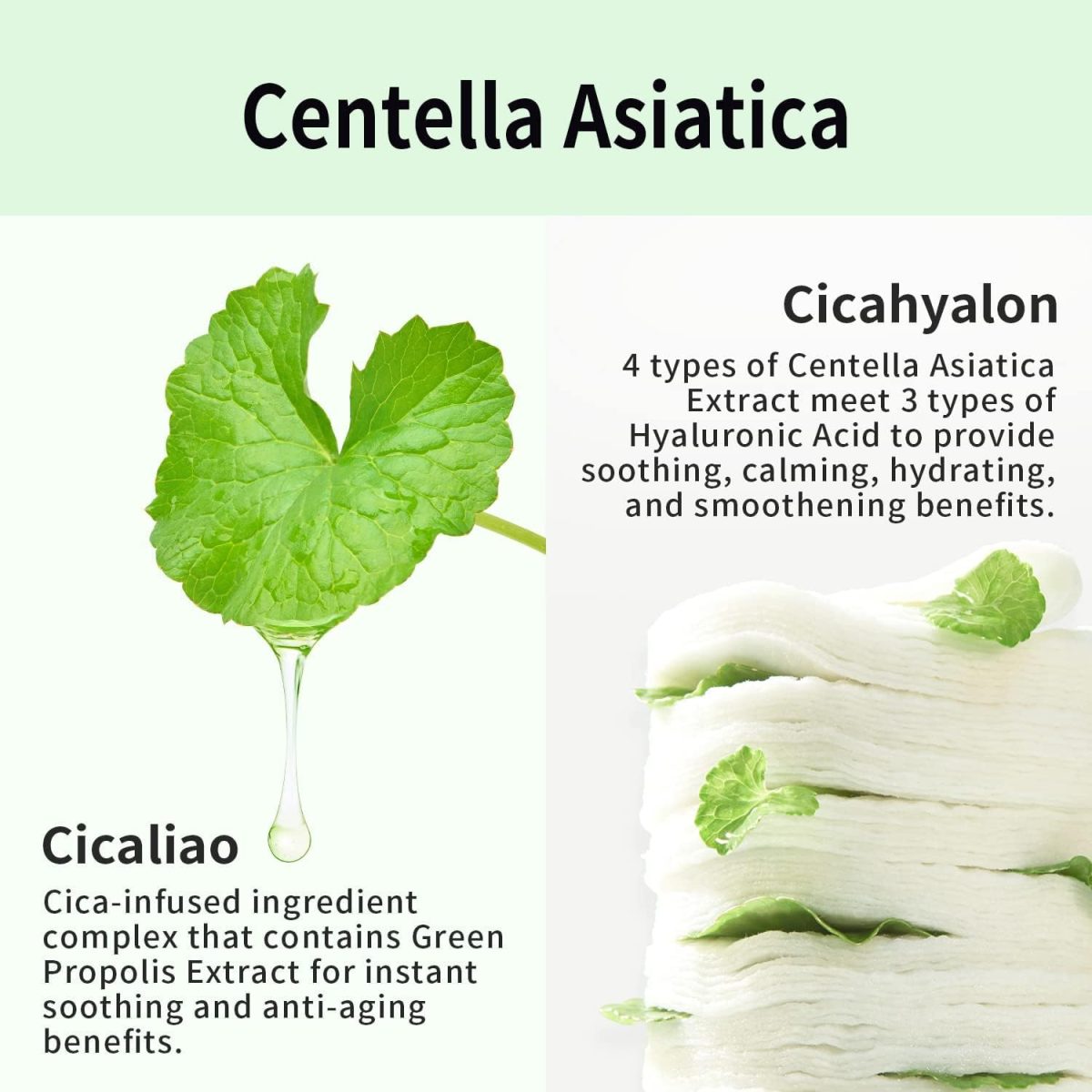 Cica No-Sebum Powder