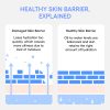 Laneige Water Bank Cream - Korean Skincare