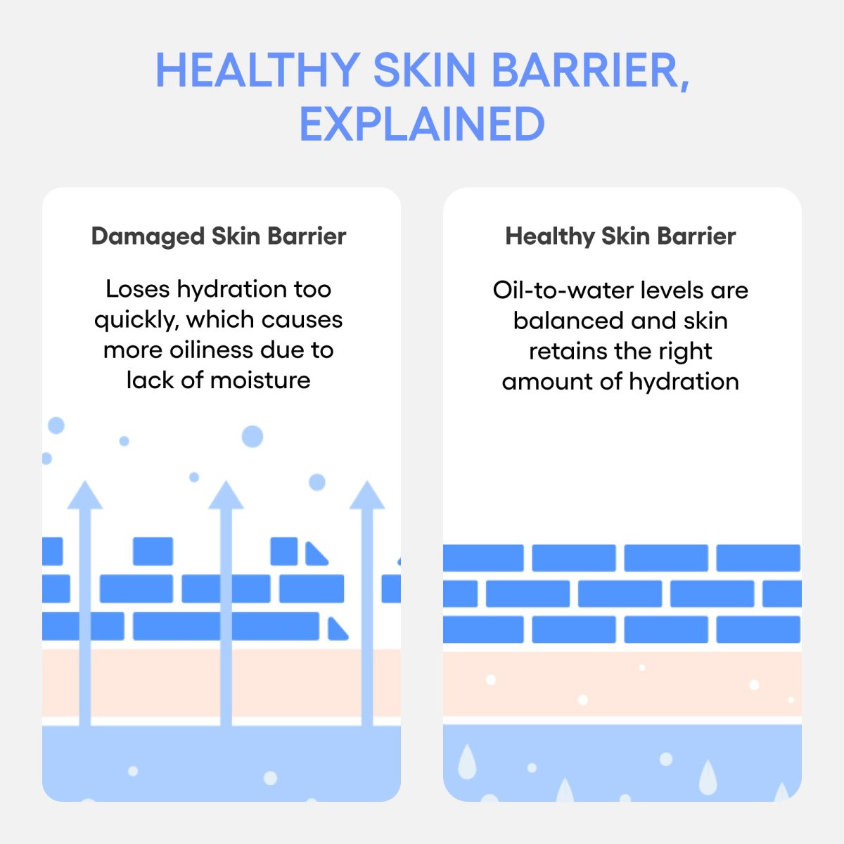 Water Bank Cream