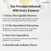 mixsoon Centella Essence - Korean Skincare