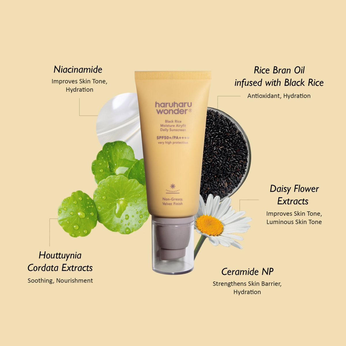 Haruharu Wonder Black Rice Moisture Airyfit Daily Sunscreen SPF50+ PA++++ - Korean Skincare
